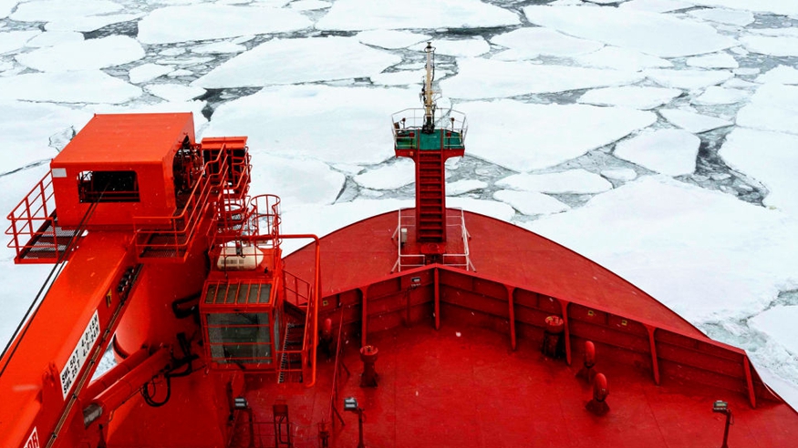 回顾丨5个月8万海里，中国第40次南极考察的非凡航程